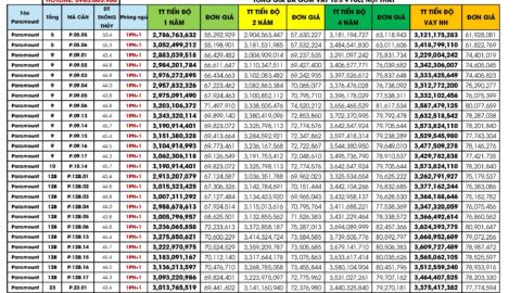 Bảng giá căn hộ Tòa Paramount ( tòa P ) Libera Nha Trang 04/07/2024