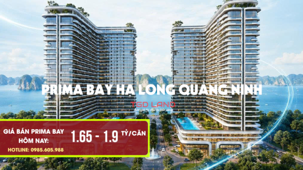 Giá bán căn hộ Prima Bay Hạ Long 2026 Giá bán căn hộ Prima Bay Hạ Long 2026