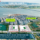 Vị trí dự án căn hộ Prima Bay Hạ Long Quảng Ninh 2026