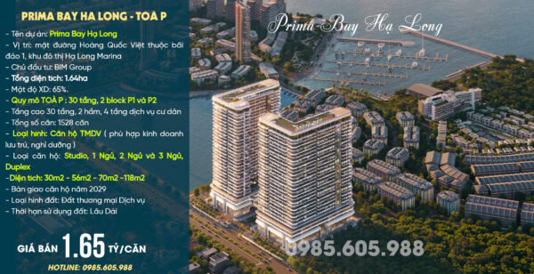 Giới thiệu toà P dự án Prima Bay Hạ Long của Bim Group 2026